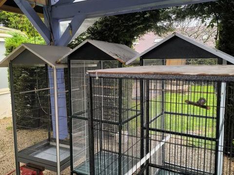 cages pour oiseaux 30 71370 Saint-germain-du-plain