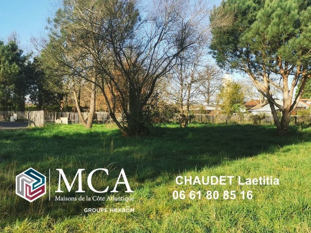 Terrains � batir   Pessac (33600)