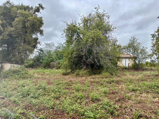  Terrain � vendre 