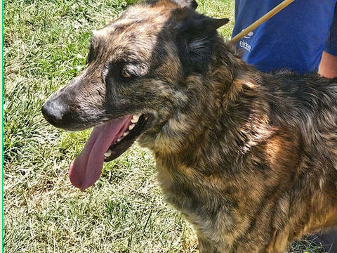 Charly 230 26700 Pierrelatte