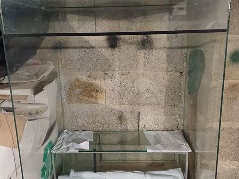 terrarium 40 52100 Bettancourt-la-ferr�e