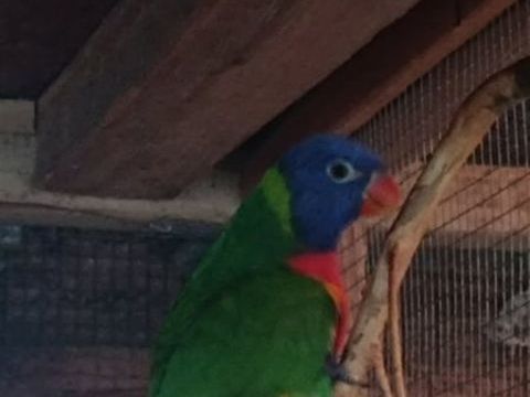 Lori 200 89300 Joigny