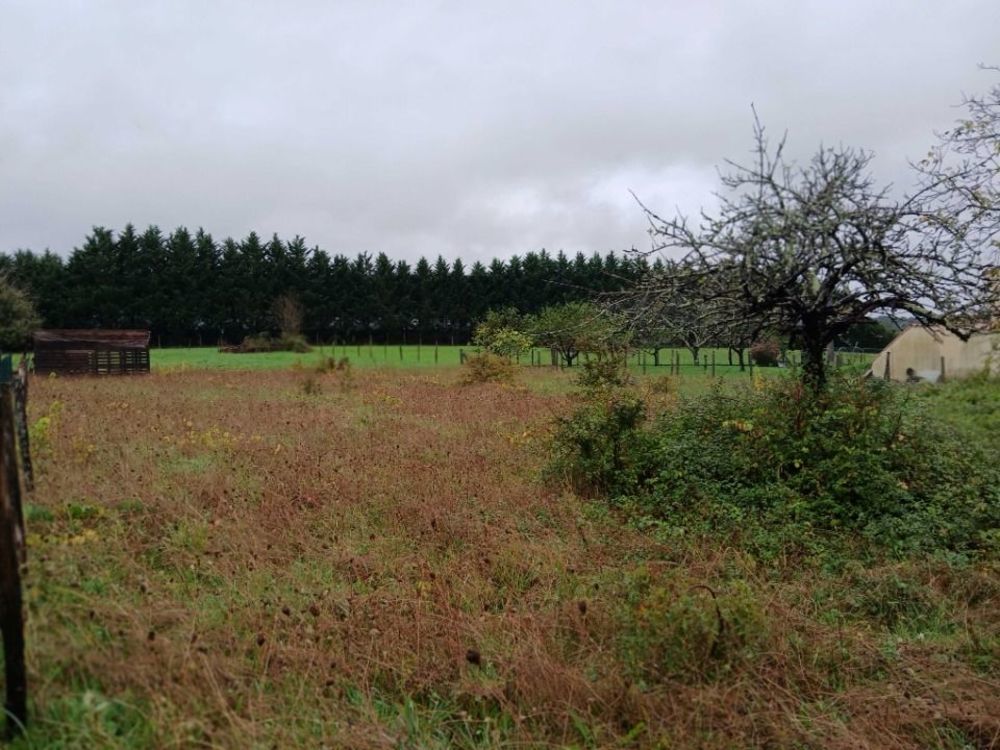   Tocane-Saint-Apre (24350)