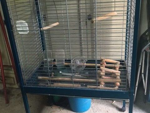 cage pour perroquets 90 30700 Blauzac