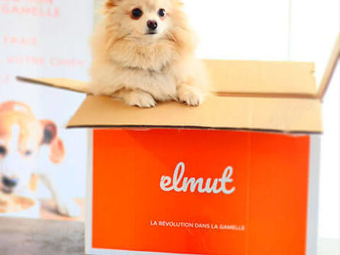 Repas frais pour chien ELMUT (Neufs & Congel&eacute;s) 100 54710 Ludres