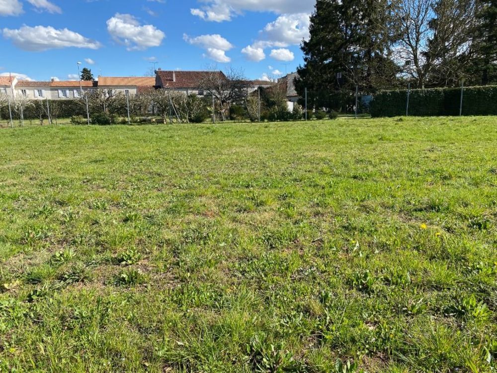 Maisons neuves   Les Mathes (17570)