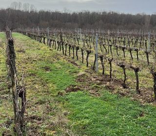  Terrain � louer 51000 m�