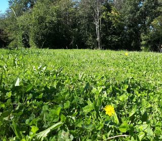  Terrain � vendre 3300 m�