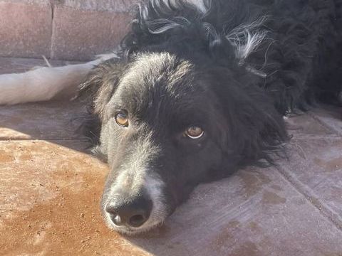 CASPER 300 95610 �ragny