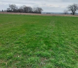 Location  Maison - Villa 