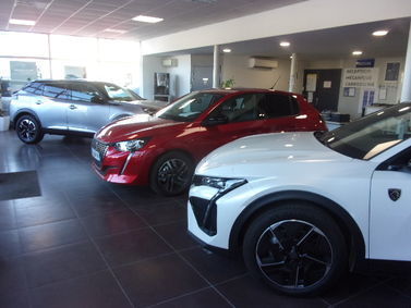 GESS AUTO SERVICES, concessionnaire 83