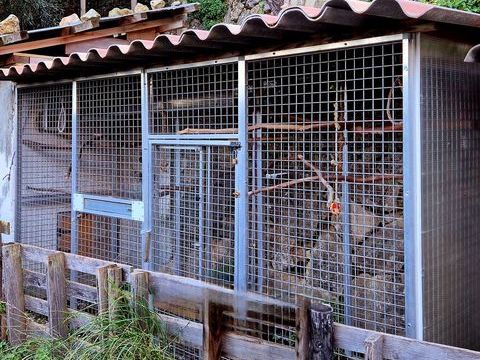 Volière pour perroquets en panneaux modulable 1mx4m 1100 06500 Gorbio