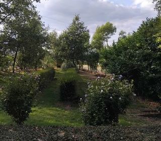  Maison � vendre 5 pi�ces 195 m� Le s�gur