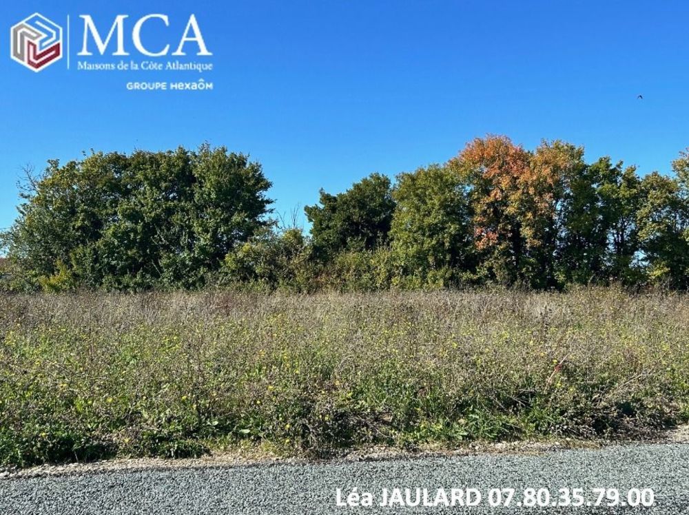 Maisons neuves   Ardilli�res (17290)