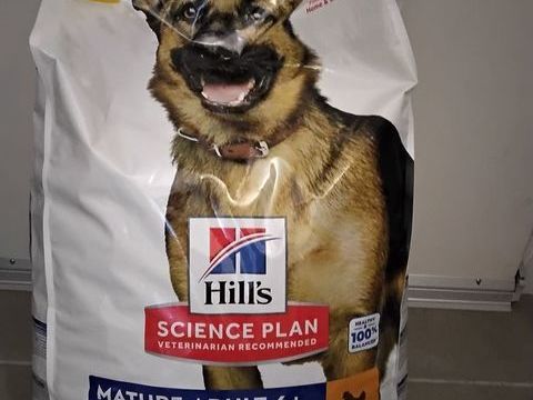 Croquettes hills pour chien adulte 45 40000 Mont-de-marsan