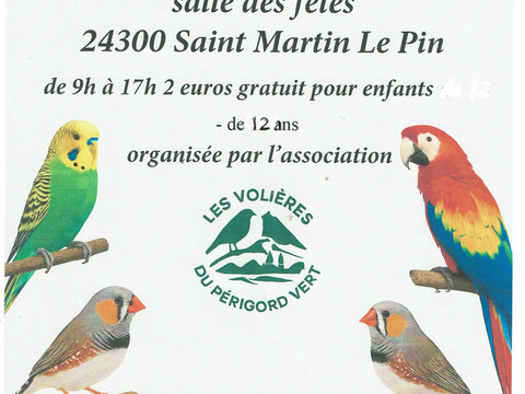 Bourse aux oiseaux 2 24300 Saint-martin-le-pin