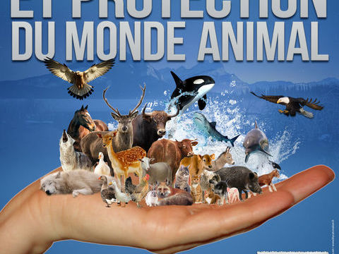 Forum Terre des Bêtes 0 57310 Gunange