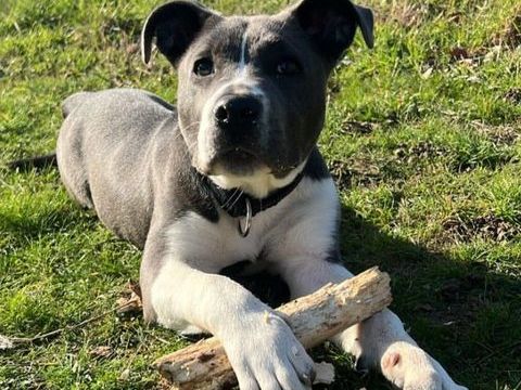 AIKA 280 26100 Romans-sur-is�re