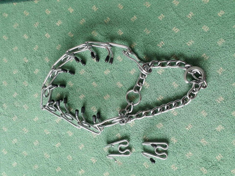 Collier Chien Semi-&Eacute;trangleur 15 62510 Arques