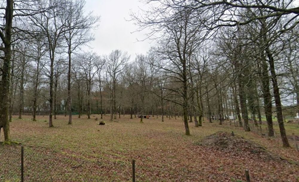 Maisons neuves   M�dis (17600)