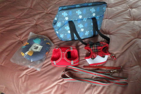    Sac pour petits chiens, chiots, harnais, collier, laisse 29 68000 Colmar