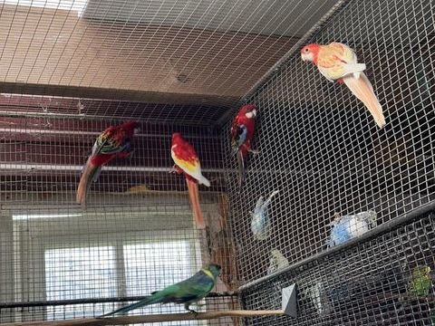 Omnicolores m&acirc;les 80 24000 P�rigueux