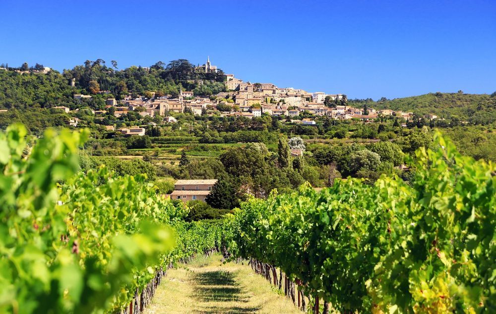   Cavaillon (84300)
