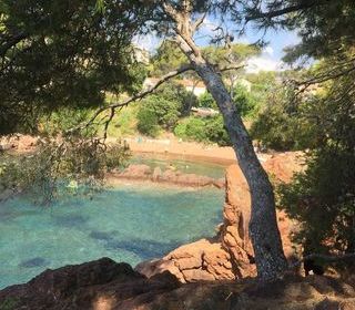  Appartement � louer 2/3 pi�ces 37 m�