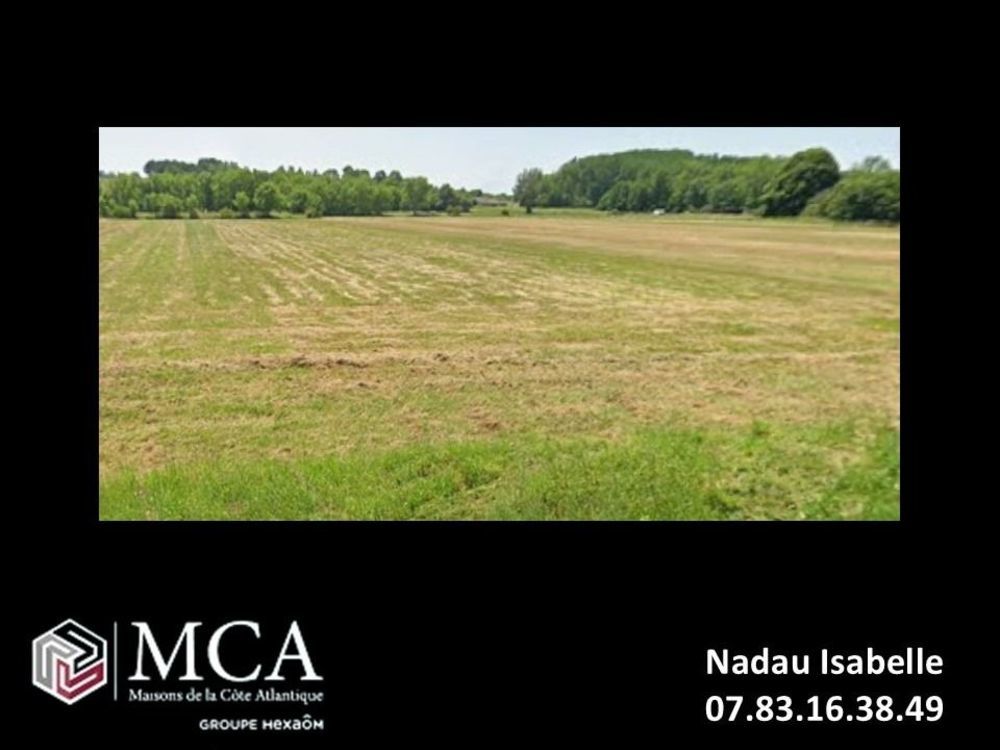 Maisons neuves   Berson (33390)