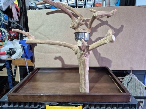 Arbre de java neuf perruches/perroquets 260 40200 Mimizan