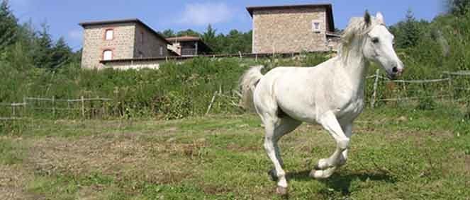 Agence CARROUSEL IMMOBILIER Saint-Laurent-de-Chamousset