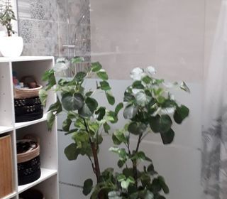  Maison � louer 4 pi�ces 75 m�