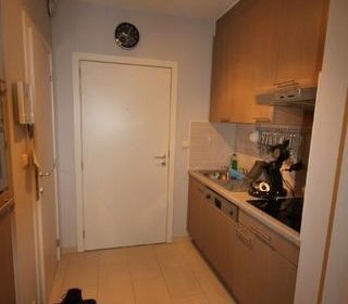  Appartement � louer 1 pi�ce 30 m�