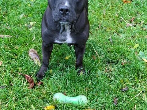 PATY la créole en normandie 150 02000 Laon