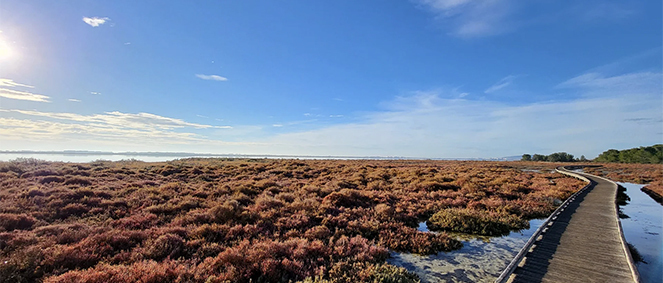 Agence CABINET MILLION Vic-la-Gardiole