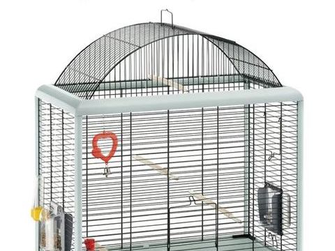 Cage oiseaux 40 44400 Rez�