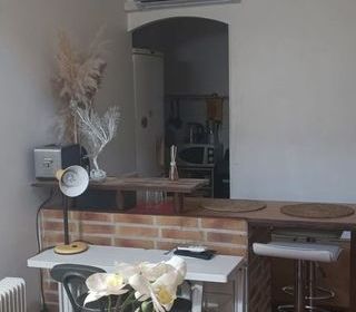  Appartement � louer 2/3 pi�ces 46 m�