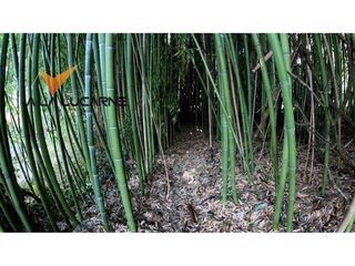  Maison � vendre 4 pi�ces 114 m�