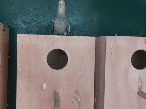 Calopssite 50 03500 Saulcet