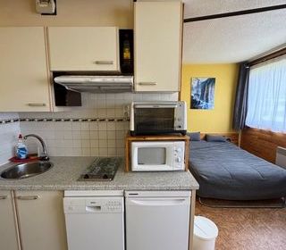  Appartement à vendre 1 pièce 25 m² Aragnouet