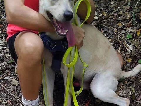 ✨️ FRANKLIN ✨️ 290 95100 Argenteuil