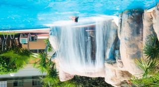 Location  Appartement 