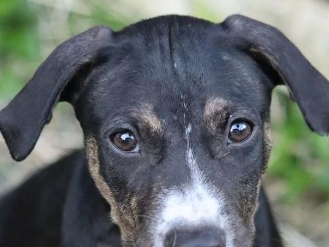 DARWIN un amour de b&eacute;b&eacute; 300 76000 Rouen