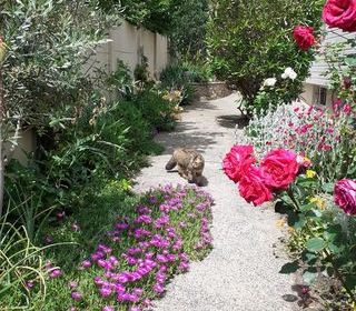  Maison � vendre 6 pi�ces 121 m�