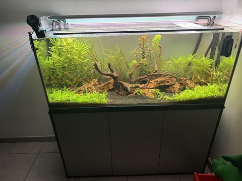 Aquarium 240L brut quasi neuf 1 38210 Tullins