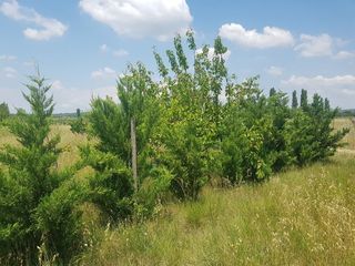  Terrain � vendre 2000 m�