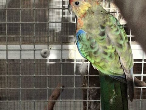 Mâle Stanley 35 72270 Villaines-sous-malicorne