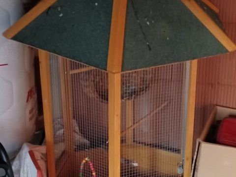 Volière, cage 0 03100 Montluon