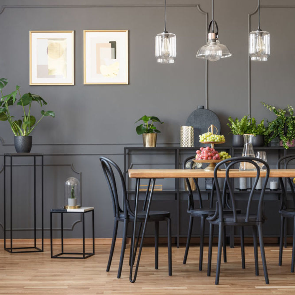 Appartements neufs   Obernai (67210)