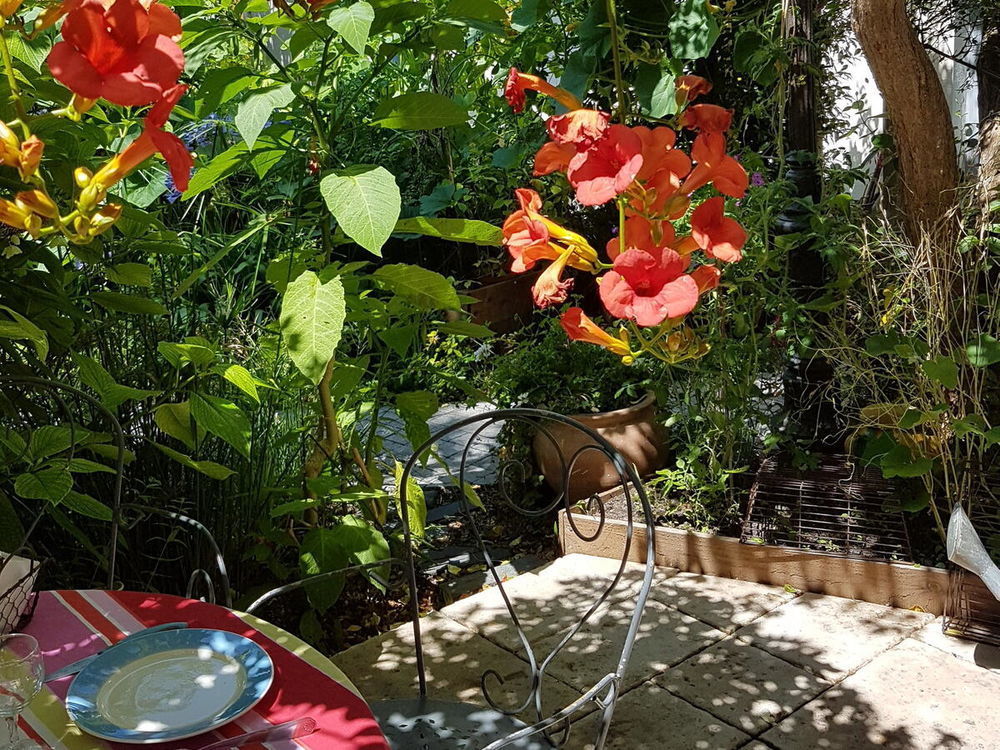 � vendre  Maison Saint-Trojan-les-Bains (17370)